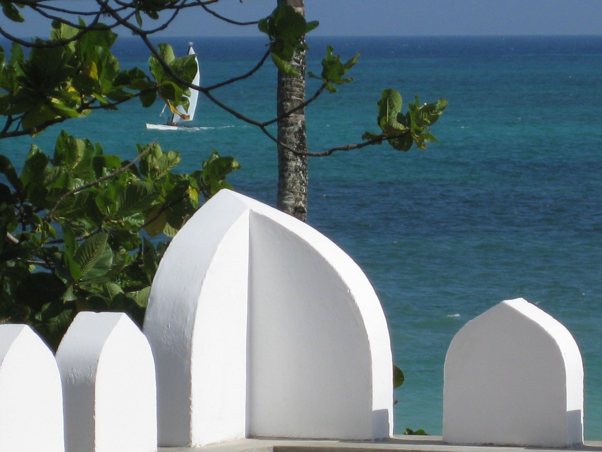 Discover Diani