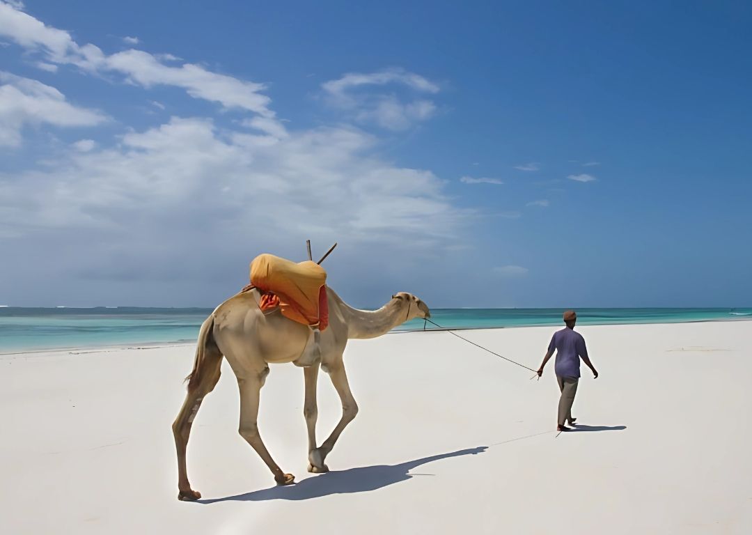 Discover Diani