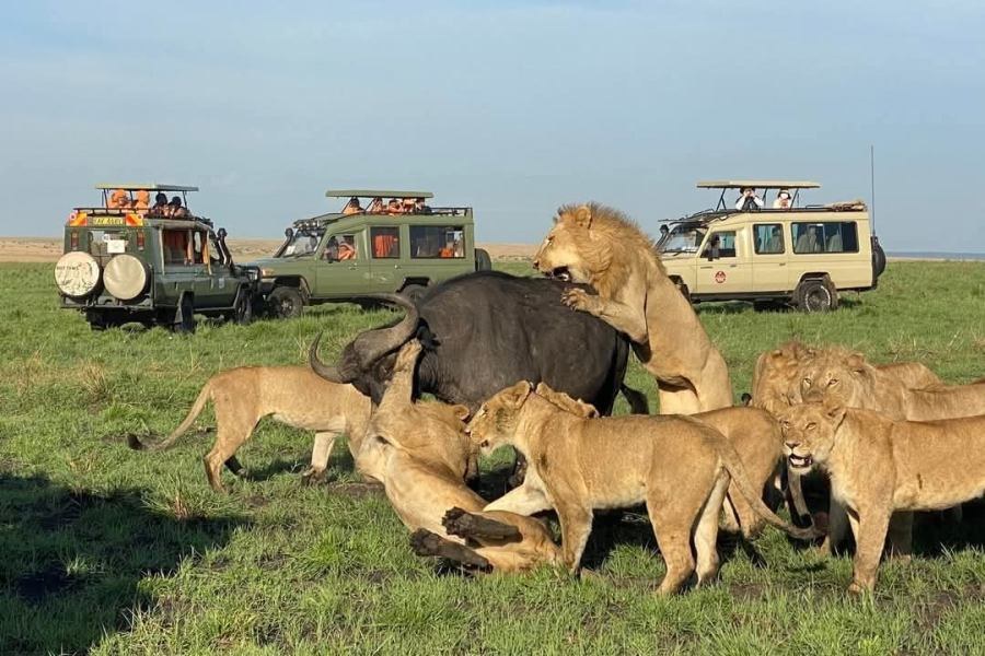 Masai Mara
