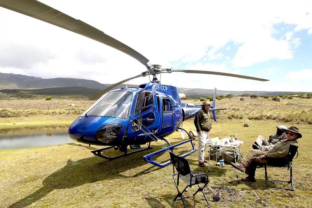 Plan Your Dream Safari